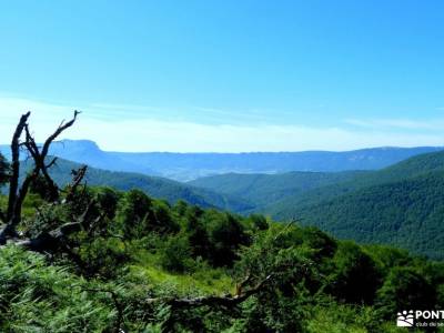 Aralar y Valle de Arakil -senderismo único rutas de montaña por madrid senderismo principiantes madr